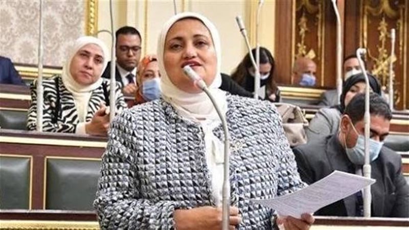 النائبة سناء السعيد