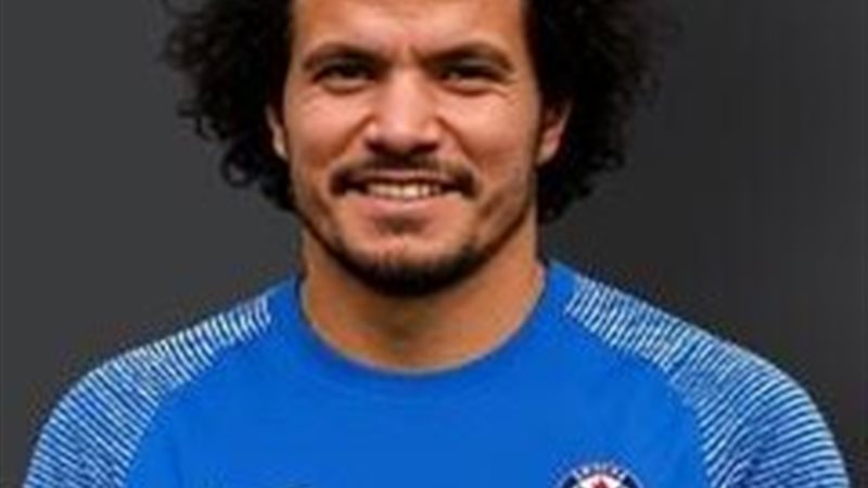 عمرو السيسي 