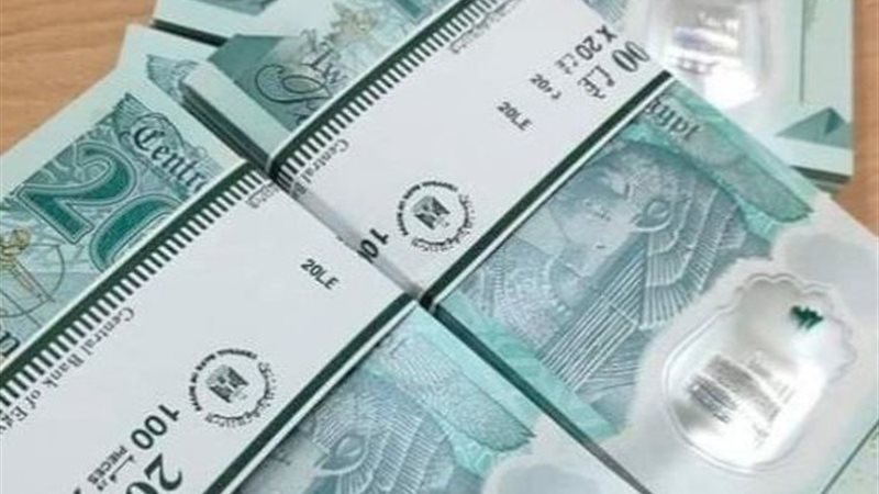 فئات الورقية الجديدة