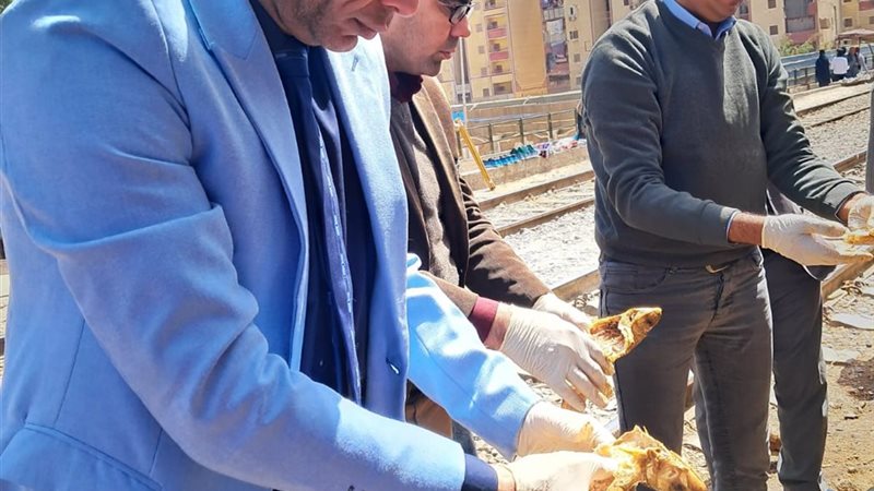 الدكتور أحمد حمدي