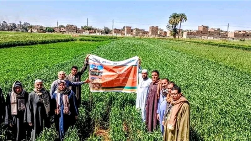 بلدنا اليوم