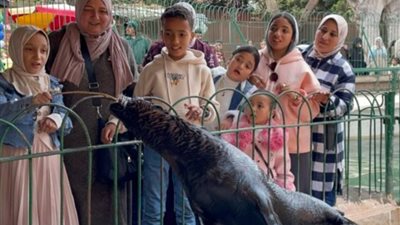 ثالث أيام عيد الفطر.. ارتفاع أعداد زوار حديقة الحيوان 30% مقارنة بالعام الماضي