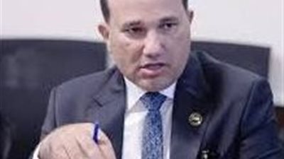 برلماني: تيسيرات الضريبة العقارية خطوة جادة نحو عدالة ضريبية.. وتعكس نقاشًا برلمانيًا مسؤولًا