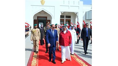 عمرو رشاد: جولات الرئيس السيسي الخليجية رسالة حاسمة بأن أمن الخليج امتداد مباشر للأمن القومي المصري