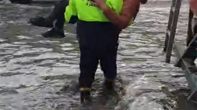 الحماية المدنية تساعد طفل في عبور الطريق بحلوان