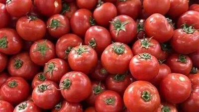  «​إلى أين تصل»؟.. استغاثات في أسيوط من 