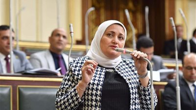 تحرك برلماني ضد زيادة أسعار تذاكر المترو.. سناء السعيد تطلب مبررات الحكومة