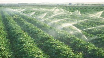 خفض المبيدات 50% بحلول 2030 يفتح نقاشاً ساخناً تحت القبة.. ومطالب بالرقابة وضبط الأسواق 