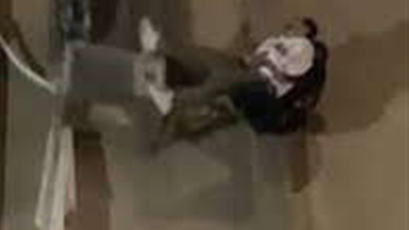 صورة من الواقعة