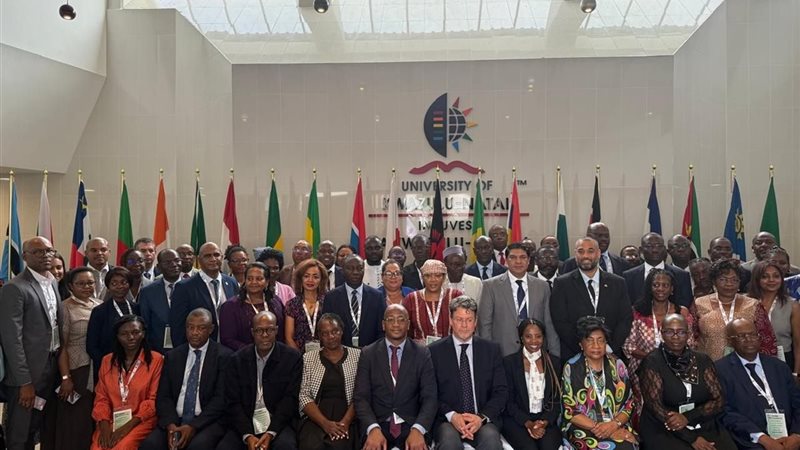 الدكتور هانى ابراهيم