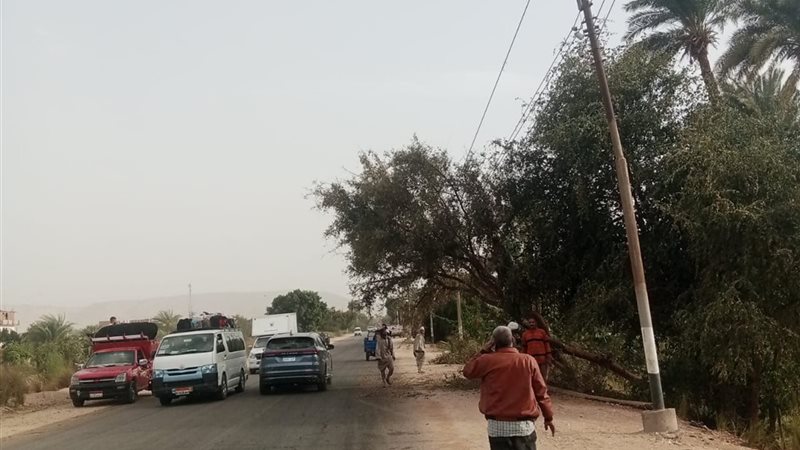 جانب من التعامل الفورى