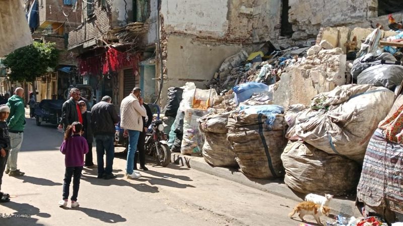 جانب من حملات الأحياء بالإسكندرية