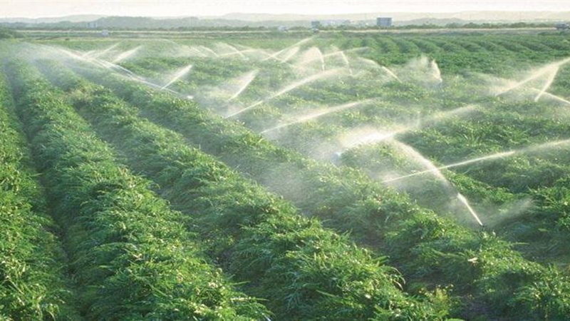 الزراعة الآمنة وتقليل