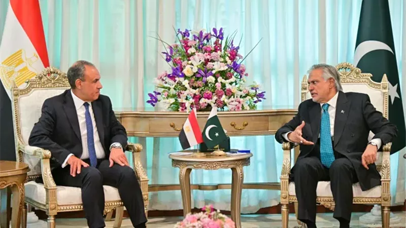 وزير الخارجية المصري