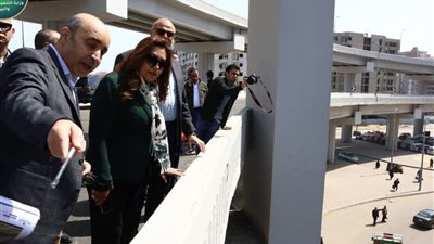 وزيرة التنمية والبيئة ومحافظ الإسكندرية يتفقدان كوبري 