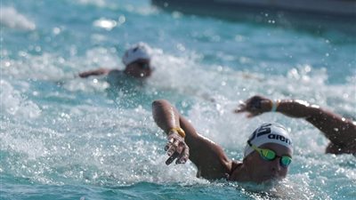 التنشيط السياحي ترعى بطولتي كأس مصر للسباحة المفتوحة والفروسية 2026