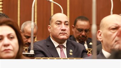 عمرو رشاد: ترشيد الإنفاق خيار وطني لحماية الاقتصاد.. والمطلوب إعلان نتائج التطبيق بشفافية