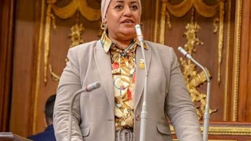 النائبة رحاب الغول