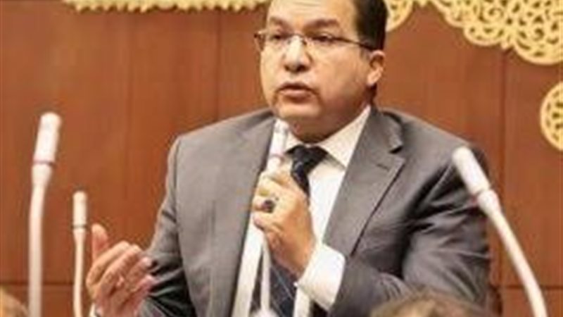 النائب عادل لمعي