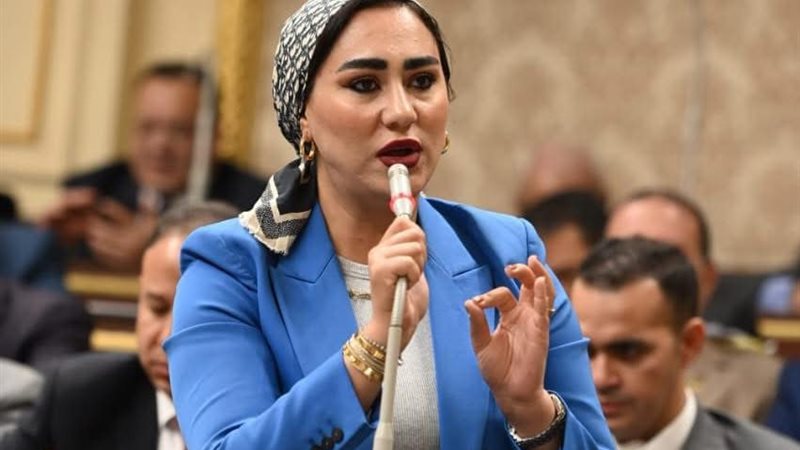 النائبة اية فوزي