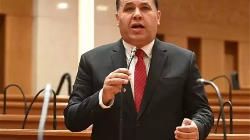 النائب عماد الغنيمي