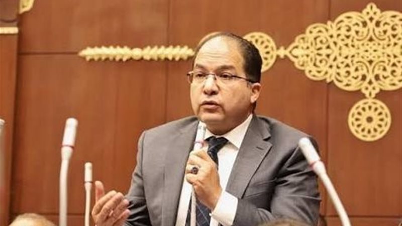 النائب عادل اللمعي