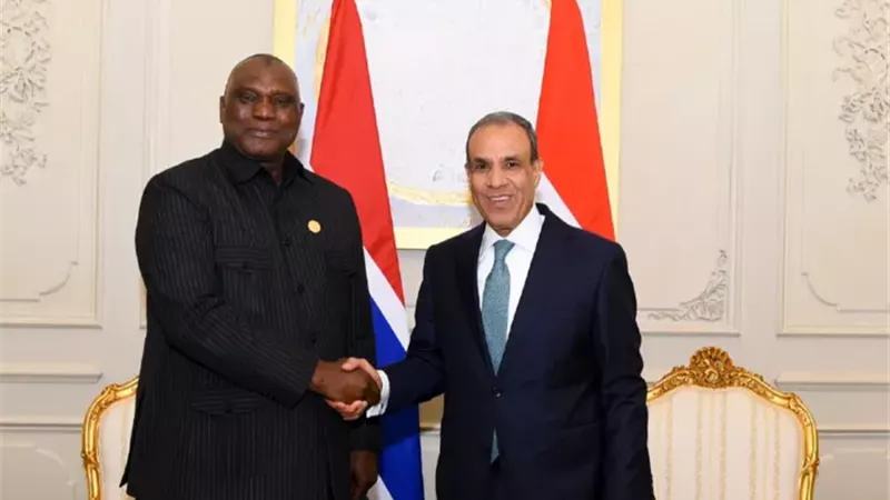 وزير الخارجية المصري