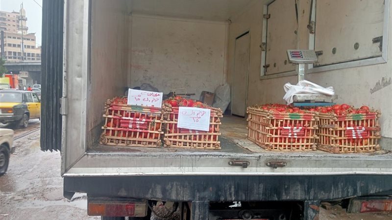 تموين الإسكندرية توفر طماطم بأسعار مناسبة 