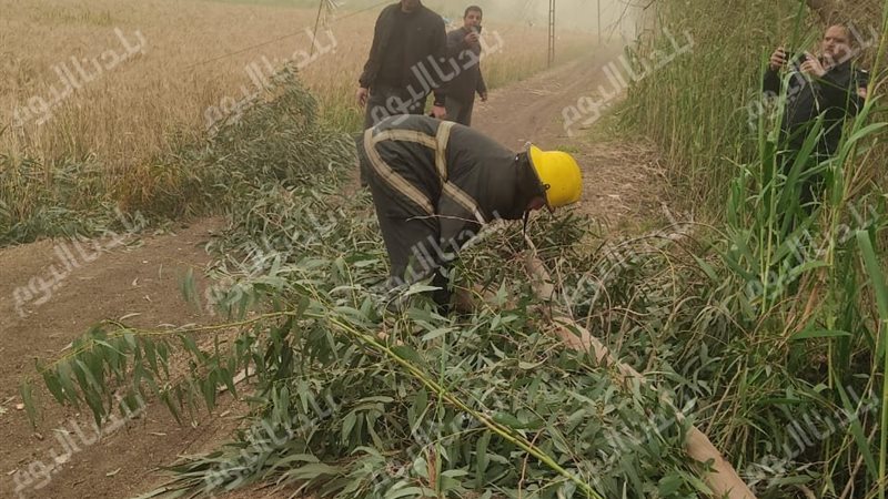 التعامل الفورى 