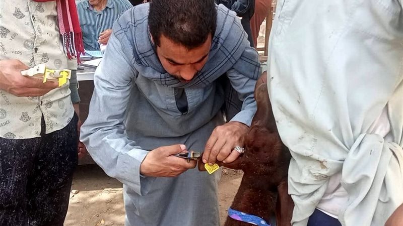 جانب من التسليم