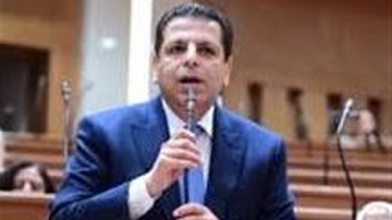 النائب محمود سامي الإمام