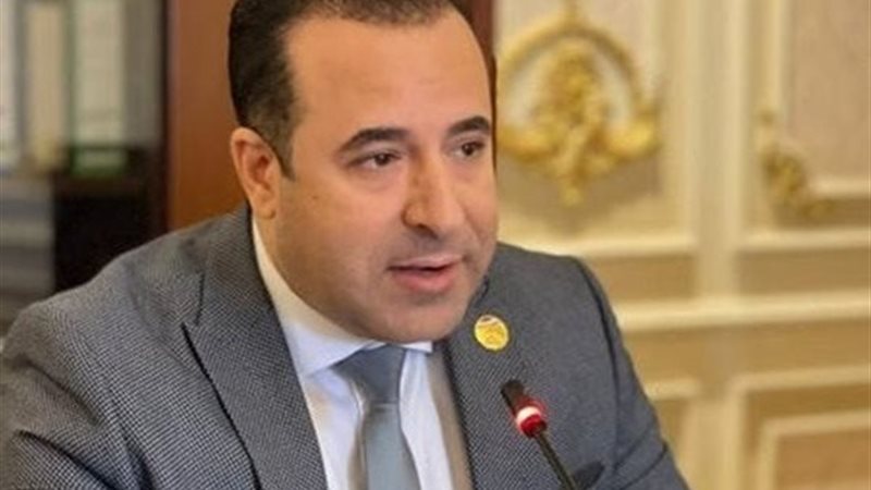 النائب احمد بدوى