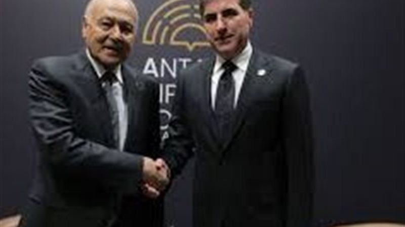 أحمد أبو الغيط ونيجرفان