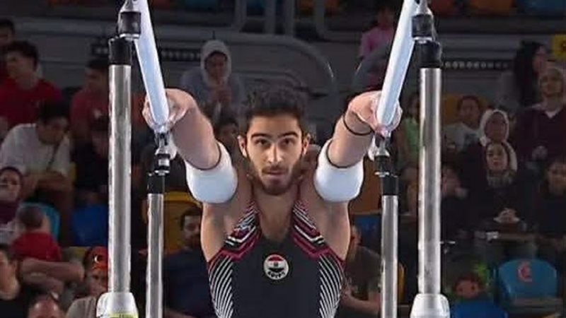 محمد منتصر عفيفي