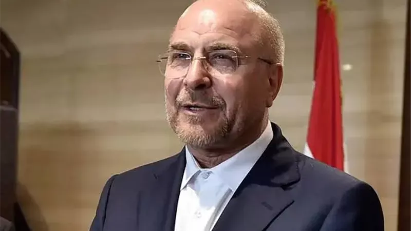 رئيس البرلمان الإيراني