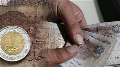 حلول حكومية لمواجهة أزمة “الفكة” في مصر