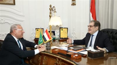 محمد ربيع بعد انضمامه للوفد: لا لترشيد يرهق الفقراء