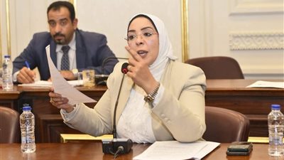 وفاء رشاد: مصر لعبت دوراً هاماً لوقف الحرب الإيرانية الأمريكية 