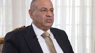 برلماني: مصر نجحت في آداء دور هام وستواصل دورها في دعم استقرار المنطقة