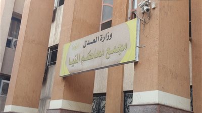 السجن 15 عامًا لشاب قتل شقيقته بالمنيا.. وبراءة الأم والأخ لعدم التورط