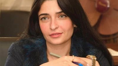 إيرين سعيد عن فتح حسابات تبرعات لعلاج الأمراض النادرة: أمر غير مقبول