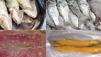 في أعياد الربيع.. كيف تُعدين الفسيخ في المنزل