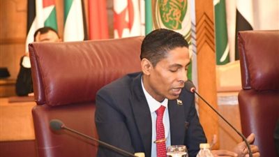 شريف الأسواني: الدبلوماسية المصرية تتحرك وفق رؤية استراتيجية واعية.. خاص