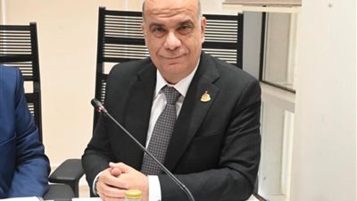 النائب نادر الداجن: مصر تلعب دوراً محورياً في تهدئة الأزمات الدولية