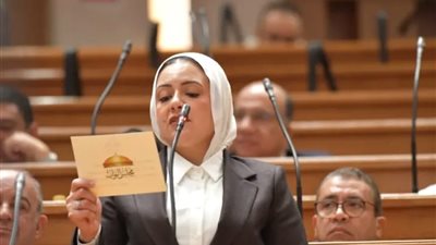 طلب إحاطة عاجل بشأن تدهور الأوضاع الاقتصادية في مصر