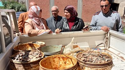ضبط نصف طن دقيق بلدي وأسماك غير صالحة للاستهلاك الآدمى بالمنوفية