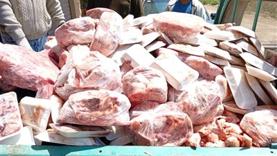 ضبط 3 طن أسماك مملحة غير صالحة للإستهلاك الآدمي بالمنوفية