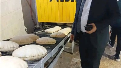 وكيل تموين الدقهلية: تحرير 97 مخالفة تموينية خلال حملات مكثفة بيوم واحد