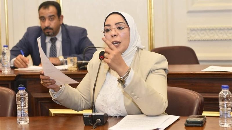 النائبة وفاء رشاد