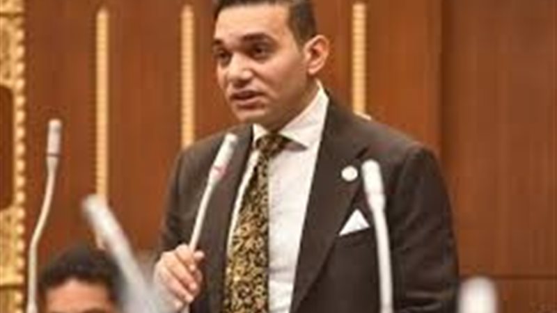 النائب نشأت حتة 